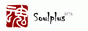 Image with missing alt attribute found on south-plus.net