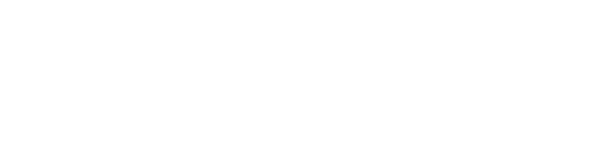 Image with missing alt attribute found on navmii.com