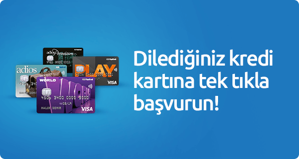Kredi Başvurusu