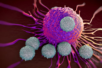 Image with missing alt attribute found on seeker.com