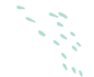 Image with missing alt attribute found on au.hotnojo.com