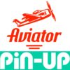 Pin-Up