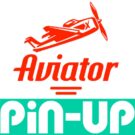 Pin-Up