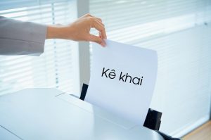 dịch vụ k&ecirc; khai bảo hiểm x&atilde; hội