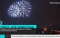 Image with missing alt attribute found on m24.ru