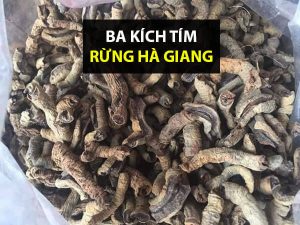 Ba K&iacute;ch T&iacute;m Rừng Phơi Kh&ocirc;