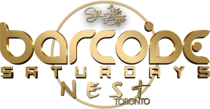 Image with missing alt attribute found on barcodesaturdays.com