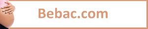 Image with missing alt attribute found on bebac.com