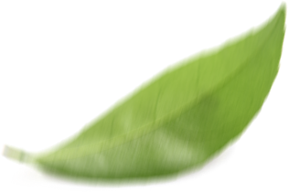Image with missing alt attribute found on bestacupunctureoc.com