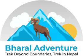 Image with missing alt attribute found on bharaladventure.com