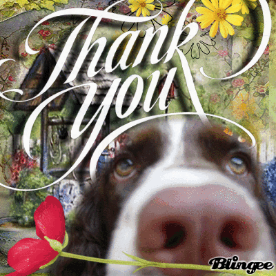 Blingee