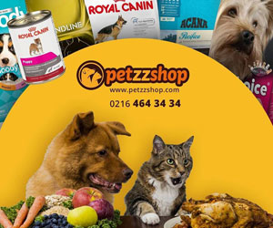 Online Pet Shop