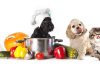 Image with missing alt attribute found on blog.petzzshop.com