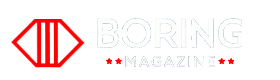 Image with missing alt attribute found on boringmagazine.com