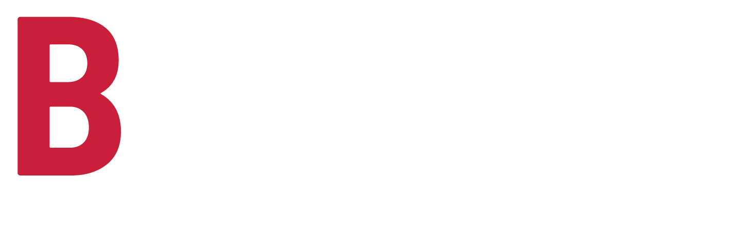 light logo