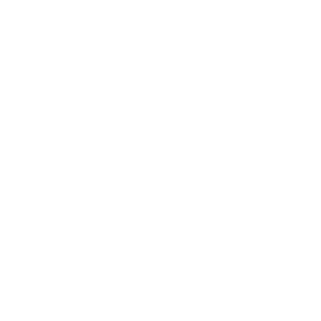 Forte Sao Francisco