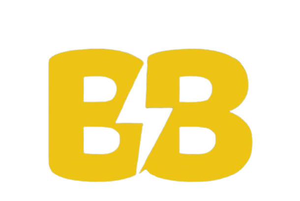 Image with missing alt attribute found on brandingbolt.com
