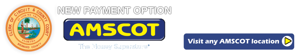 AMSCOT Payments