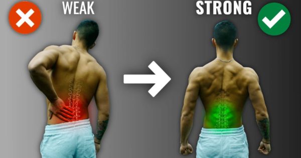 the best lower back exercises for low back pain