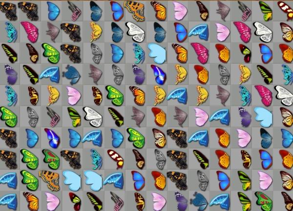 Image with missing alt attribute found on butterflykyodai.de