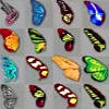 Butterfly Kyodai Classic &ndash; Spiel Schmetterlings Kyodai