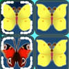 Butterfly Kyodai 2 &ndash; Kyodai Schmetterling