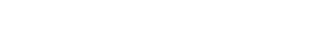 BVS FinancialGuru Logo