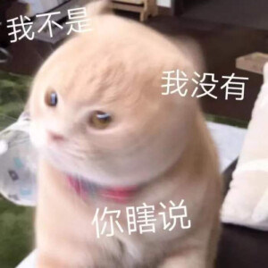 Image with missing alt attribute found on duitang.com