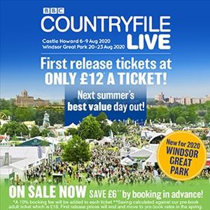 Image with missing alt attribute found on seetickets.com