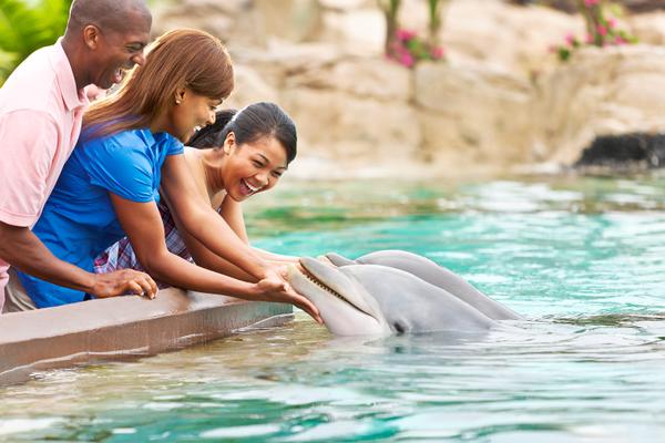 SeaWorld&reg; Orlando