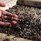 Ако пчелите изчезнат, много живи същества също ще изчезнат. И ако искаме да живеем, ако искаме да живеят нашите деца и внуци, трябва да положим най-големи усилия, за да поддържаме пчелите живи, заяви Селчук Солмаз, ръководител на Асоциацията на пчеларите в Анкара