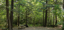 Gifford Woods State Park