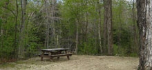 Savoy Mountain State Forest