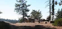 Sunset Sequoia