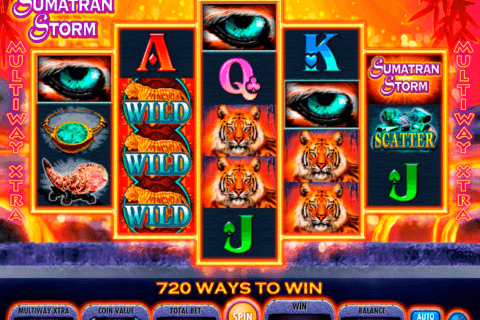 sumatran storm igt