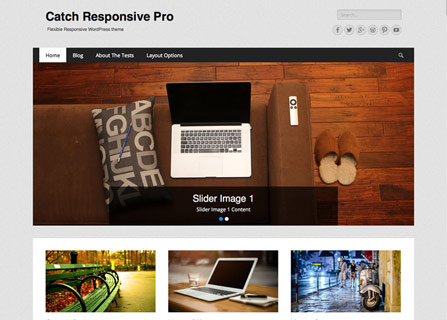 Image with missing alt attribute found on catchthemes.com