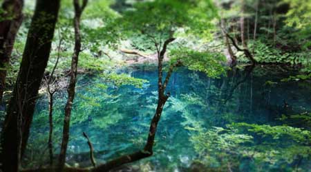 リゾートしらかみ号で行く、五能線の旅【２】十二湖編 2019年 8月