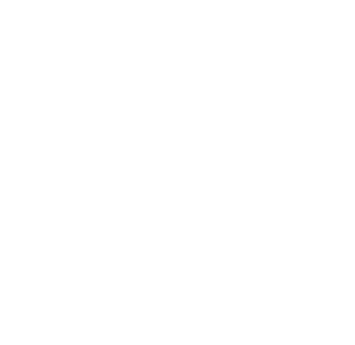 Image with missing alt attribute found on afilnet.com