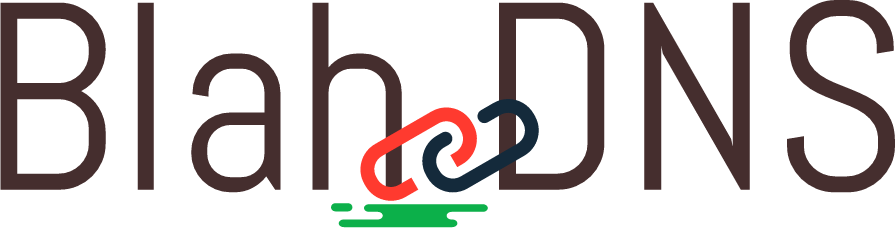 Image with missing alt attribute found on blahdns.com