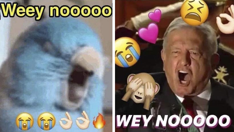 Los mejores memes del Wey nooo