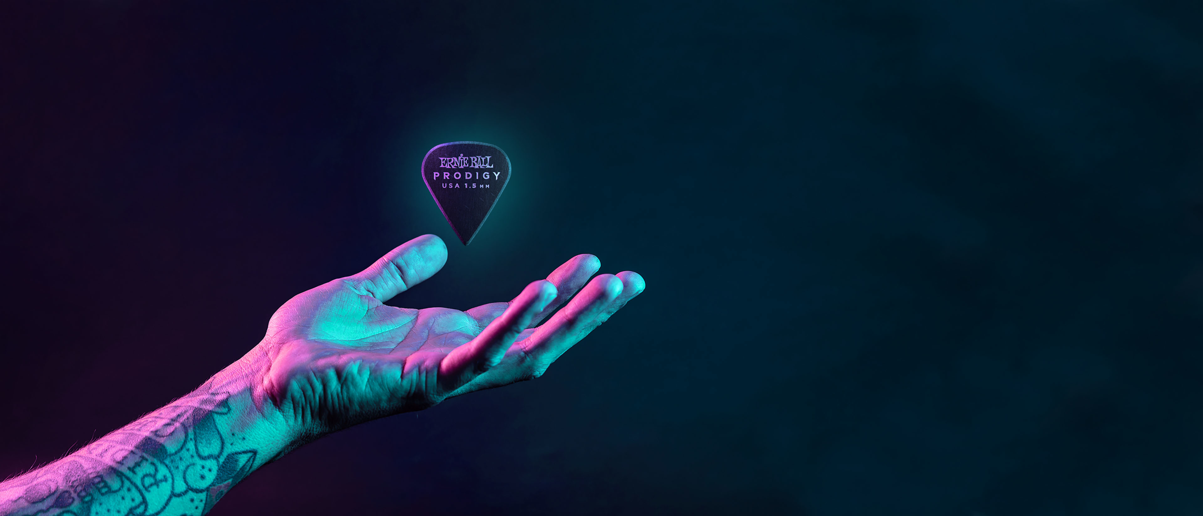 Image with missing alt attribute found on ernieball.com