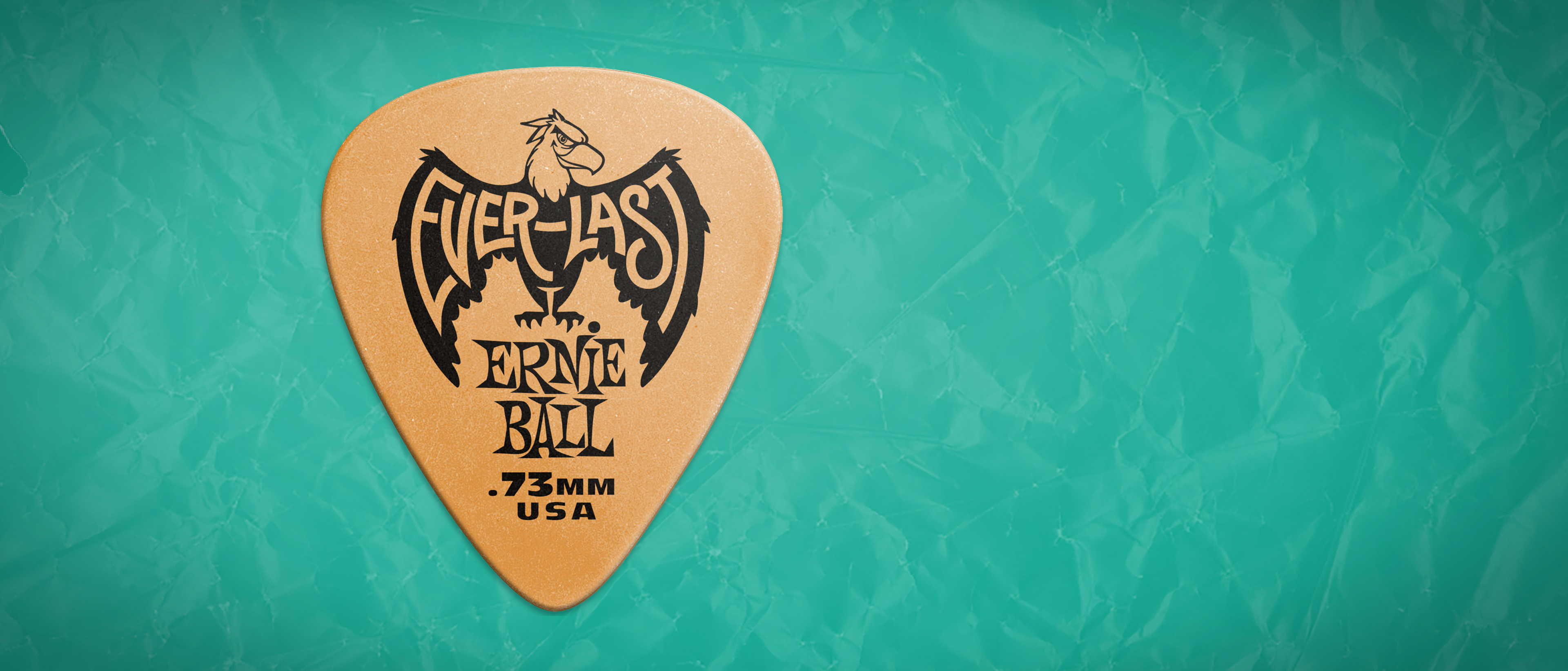 Image with missing alt attribute found on ernieball.com
