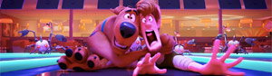 Image with missing alt attribute found on firstshowing.net