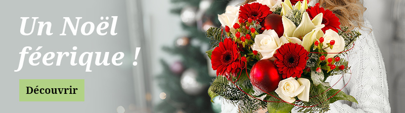 Livraison de fleurs pour No&euml;l