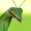 Troy Straub's picture