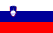 Najem vozila