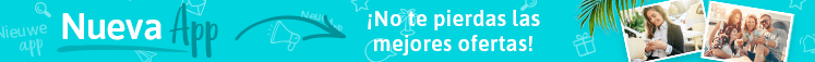 Image with missing alt attribute found on holidayguru.es