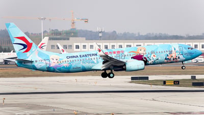 B-1317 - Boeing 737-89P - China Eastern Airlines