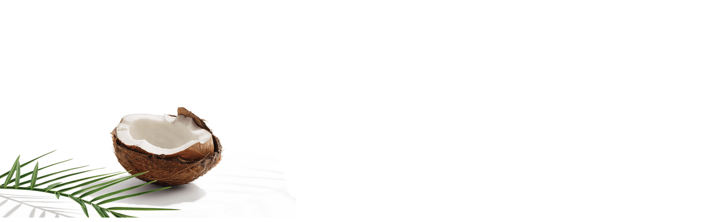Image with missing alt attribute found on mcdonalds.pl