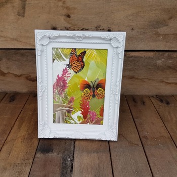 handcrafted ornate white framed orange butterfly picture with jungle background